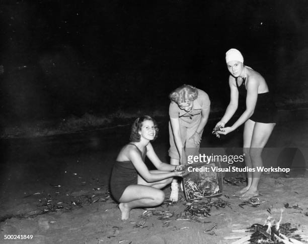 Three women are hunting for grunion, a very finicky and temperamental fish that are the size of a sardine, not for food, but for sport, Venice,...