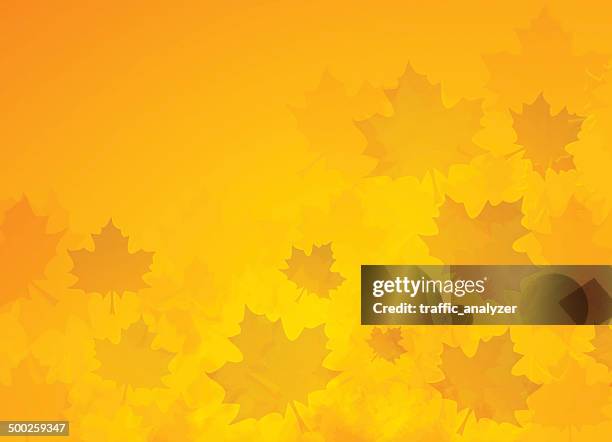 autumn background - maple leaf background stock illustrations