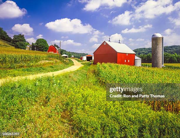 wisconsin farm and corn field - v wisconsin stock pictures, royalty-free photos & images