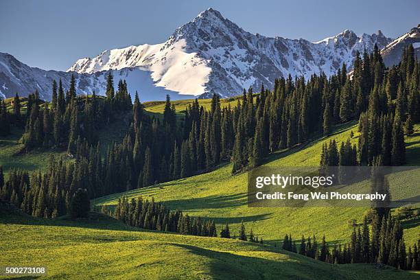 twilight, tangbula grassland, xinjiang china - xinjiang province stock pictures, royalty-free photos & images