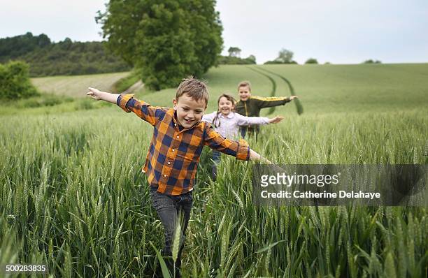 3 children running in a field - children only stock pictures, royalty-free photos & images