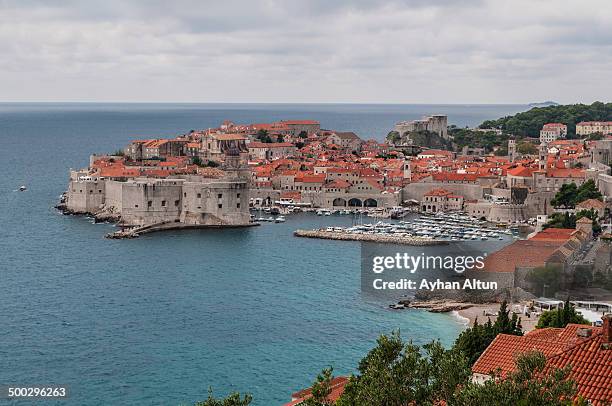 the walled city of dubrovnik in croatia - dalmata stock pictures, royalty-free photos & images
