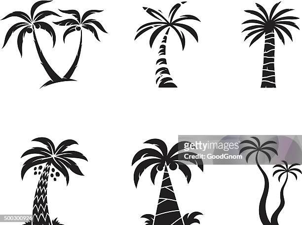 illustrazioni stock, clip art, cartoni animati e icone di tendenza di palma tree - coconut