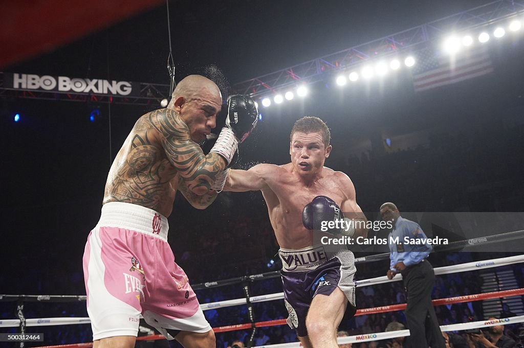 Canelo Alvarez vs Miguel Cotto, 2015 WBC World Middleweight Title