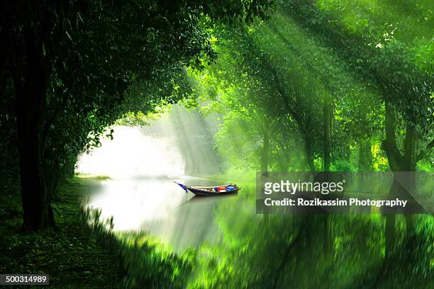a boat in river under green forest shelter - beauty in nature stock pictures, royalty-free photos & images