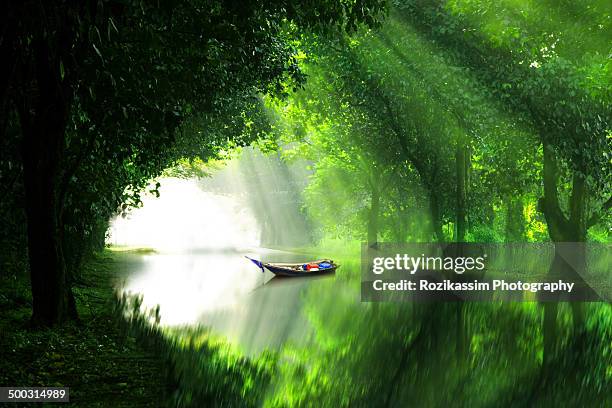 a boat in river under green forest shelter - green boat stock pictures, royalty-free photos & images