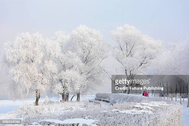People walk on the river bank surrounded by soft rime on December 07, 2015 in Jilin, China. Jilin has the most spectacular soft rime in China thanks...