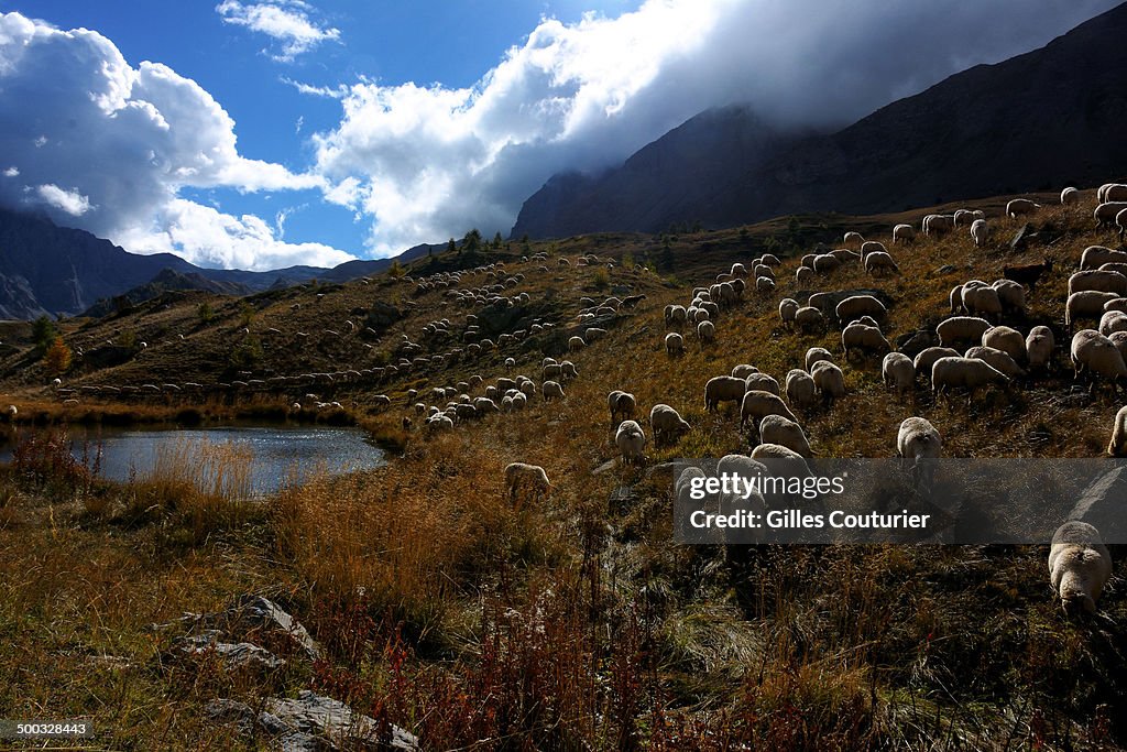 Col de Vars