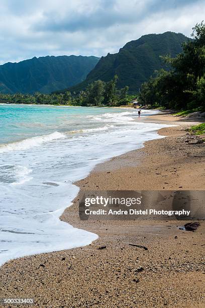 kailua beach park, oahu, hi, usa - kailua beach imagens e fotografias de stock