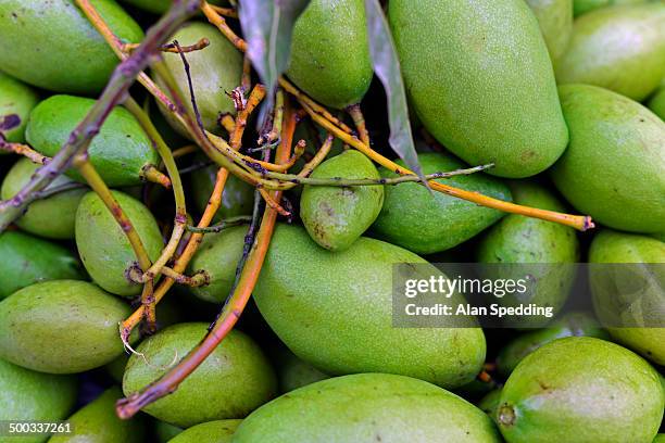 Unripe Mango Photos and Premium High Res Pictures - Getty Images