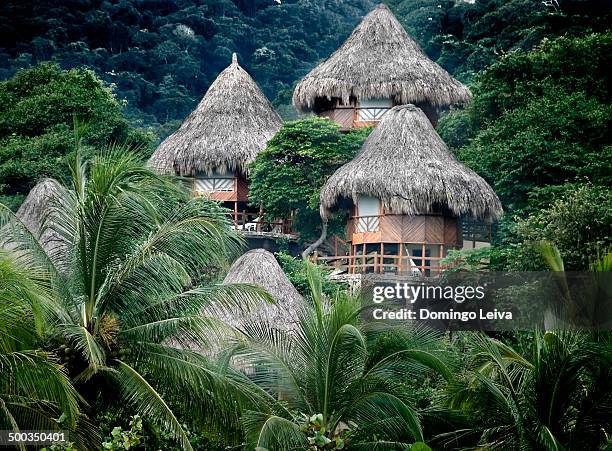 tayrona national park, colombia - tayrona national park stock pictures, royalty-free photos & images