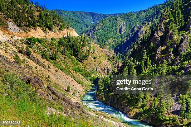 payette river along route 21 near lowman, idaho - payette river stockfoto's en -beelden