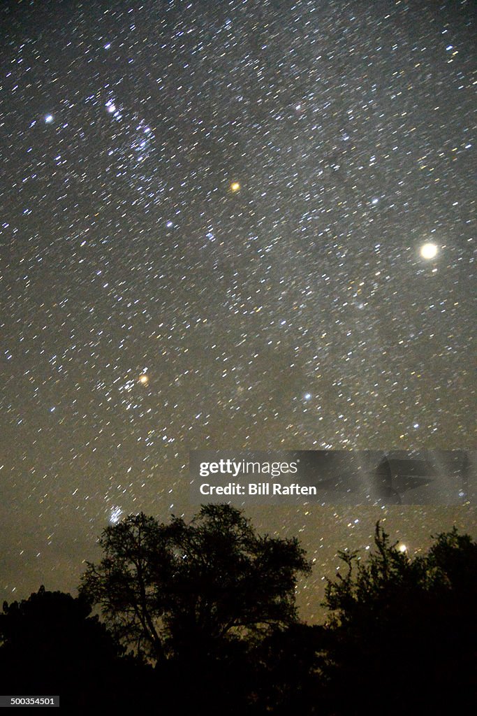 Stars over the Okavango Delta