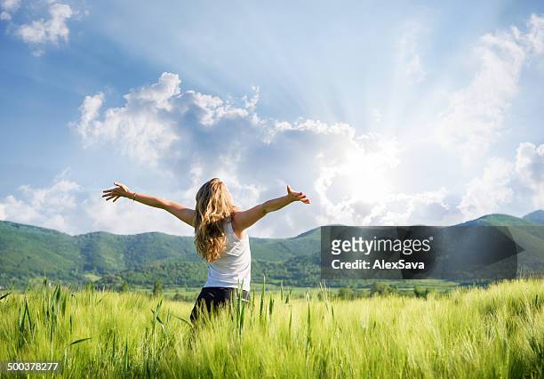 one young woman feeling free outdoor in the wheat field - arms raised stock pictures, royalty-free photos & images