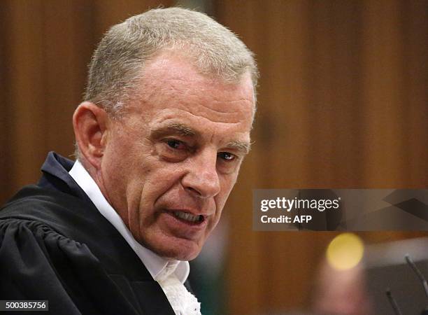 State prosecuter Gerrie Nel addresses the court during the bail hearing of a former Paralympic champion at the North Gauteng High Court in Pretoria,...