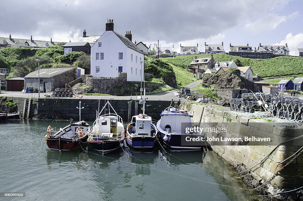 Fishing boats, St Abbs harbour, Scottish Borders