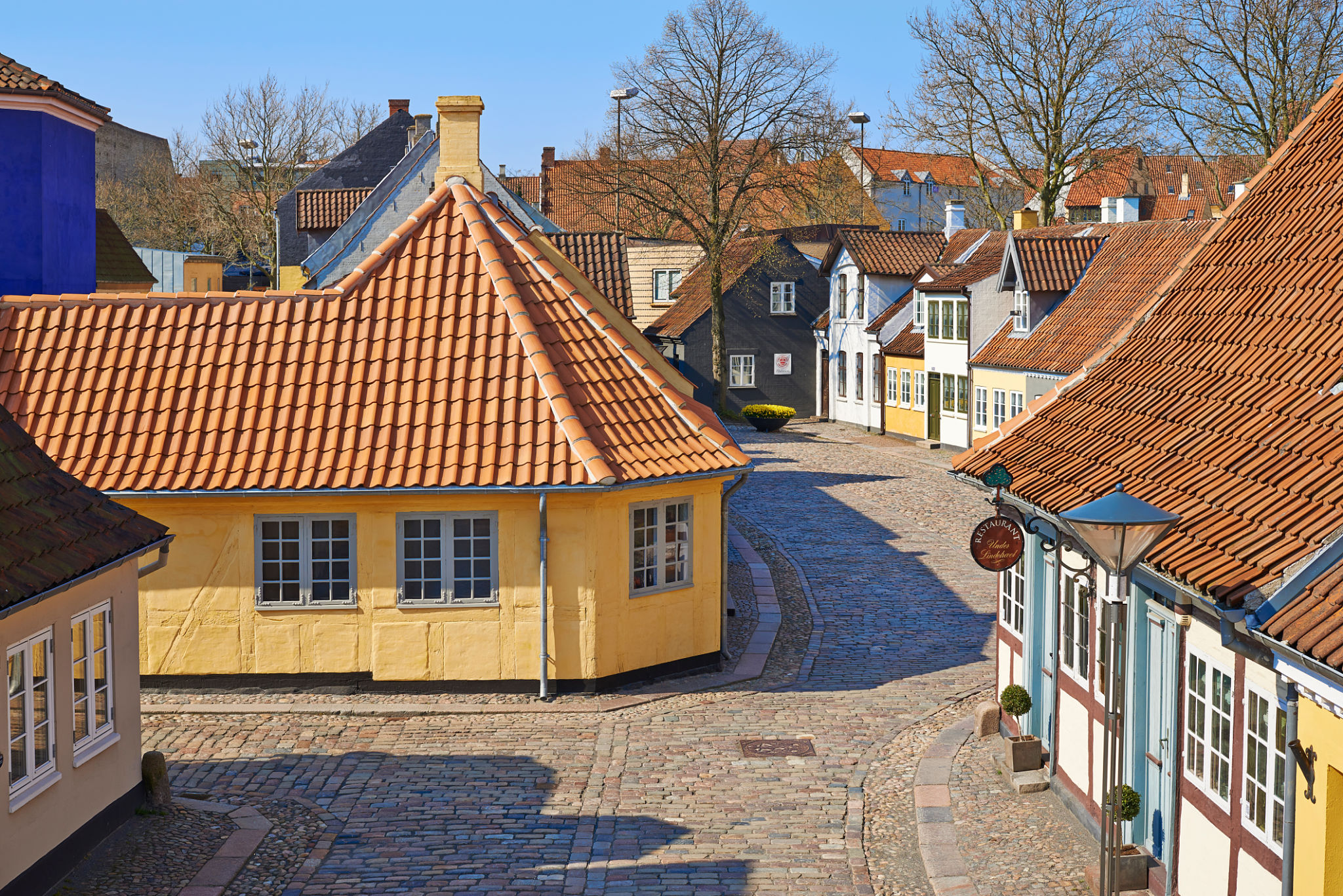 danish author