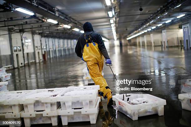 Market porter moves a crate of freshly caught fish at Peterhead Fish Market and Port, operated by Peterhead Port Authority, in Peterhead, U.K., on...