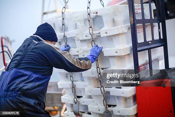 Market porter guides crates of freshly caught fish onto the dock at Peterhead Fish Market and Port, operated by Peterhead Port Authority, in...