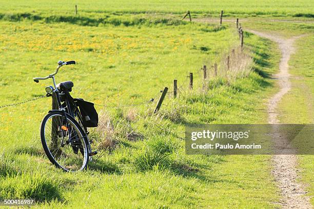 zijpendal park - gelderland stock pictures, royalty-free photos & images