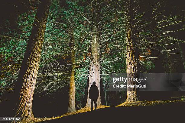 man's silhouette at forest - strange night stock pictures, royalty-free photos & images