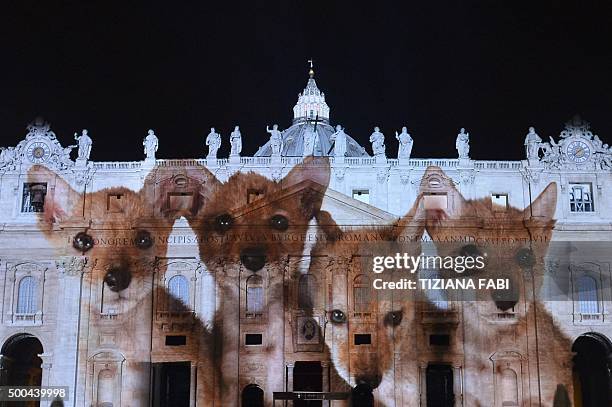 Picture is projected on the cupola of St. Peters Basilica during the show Fiat Lux : Illuminating Our Common Home, on December 8, 2015 at the...