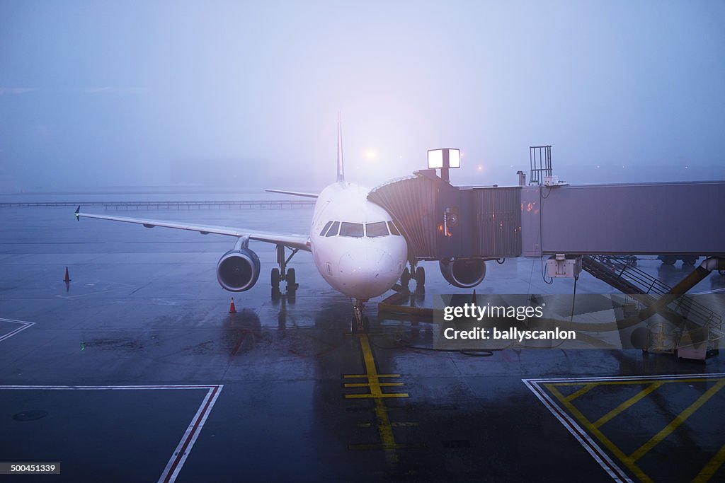 Plane and jetway