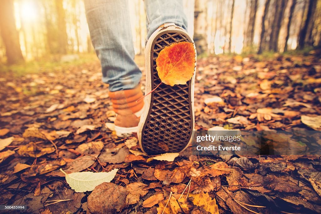 Feet sneakers walking on fall leaves Outdoor Autumn season