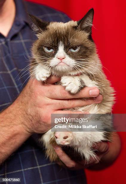 Grumpy Cat at her animatronic launch at Madame Tussauds San Francisco on December 8, 2015 in San Francisco, California.