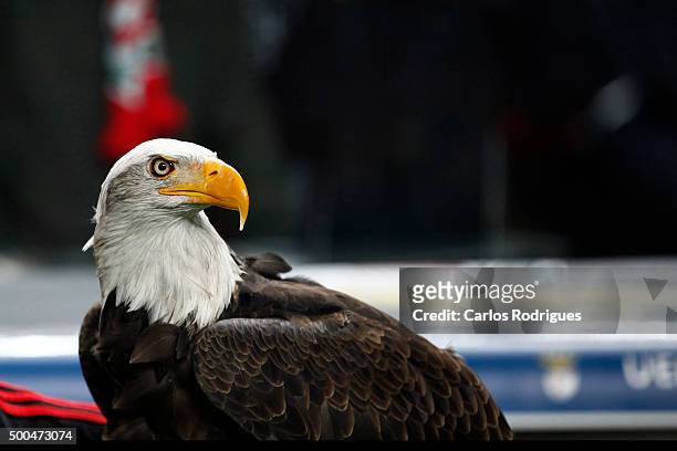 Vitoria eagle Benfica's mascot during the match between SL Benfica and Club Atletico de Madrid for the UEFA Champions League at Estadio da Luz on...