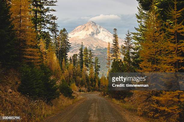 mount hood framed with nature - oregon stock pictures, royalty-free photos & images
