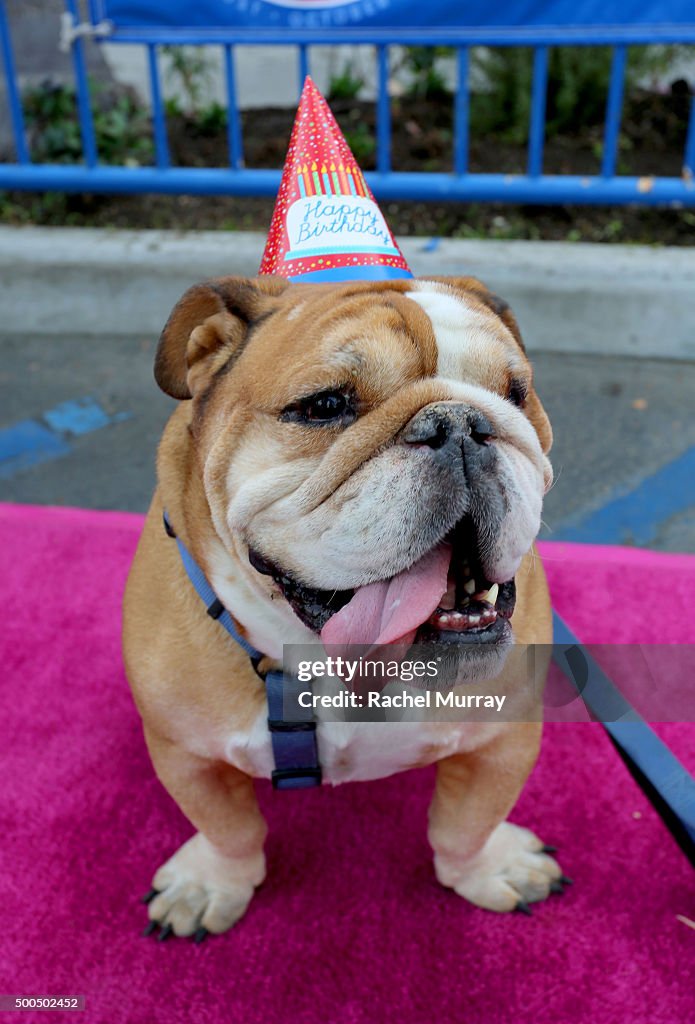 Baskin-Robbins 70th Birthday Celebration