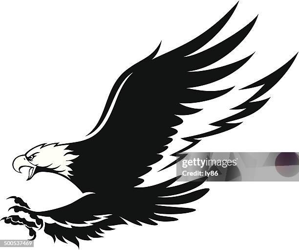 eagle - bald eagle flying stock illustrations
