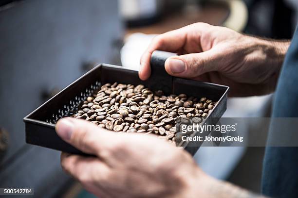 man holding tray of fresh coffee beans, close up - food processing plant stockfoto's en -beelden