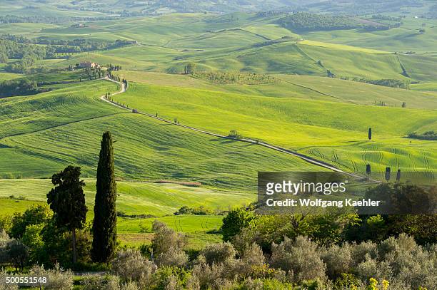 View of the Val d'Orcia near Pienza in Tuscany, Italy with Italian cypress trees and gravel road going to a farm house.