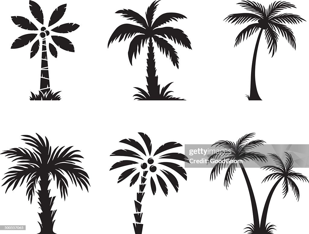 De palmeira