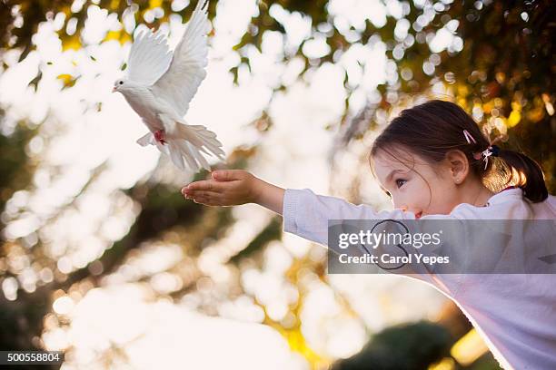 girl releasing a dove - 5 doves stock-fotos und bilder