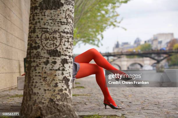 legs on the banks of the seine - women in nylons bildbanksfoton och bilder