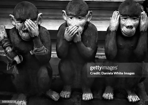 the three wise monkeys - 3 wise monkeys stock-fotos und bilder