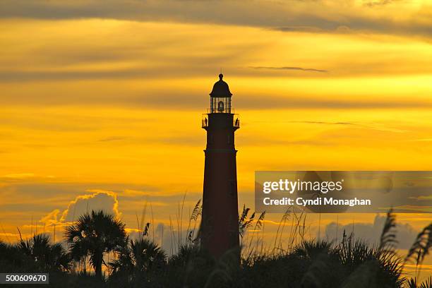 getting away from it all - beach grass dunes silhouette stock pictures, royalty-free photos & images
