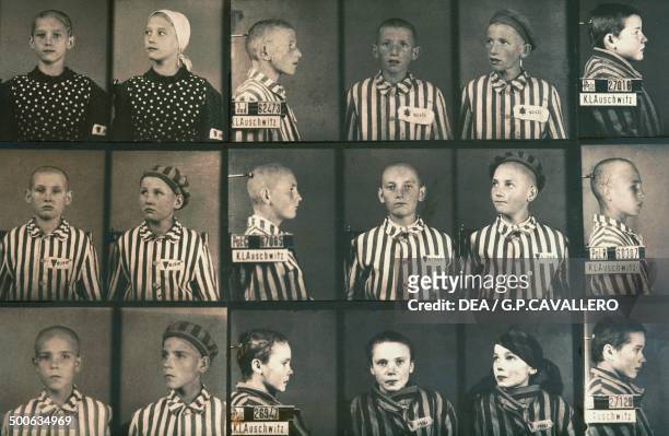 Sets of prisoner identification photos of child inmates of the German Nazi concentration camp at Auschwitz-Birkenau, Poland, during World War II. The...