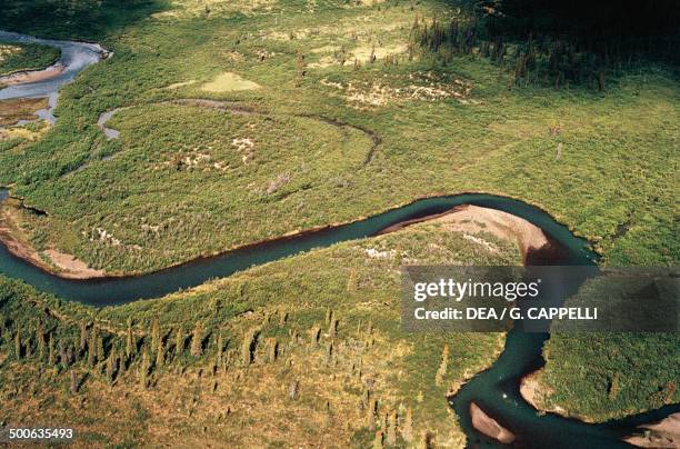 The Yukon River between Whitehorse and Dawson City, Alaska, United States of America.