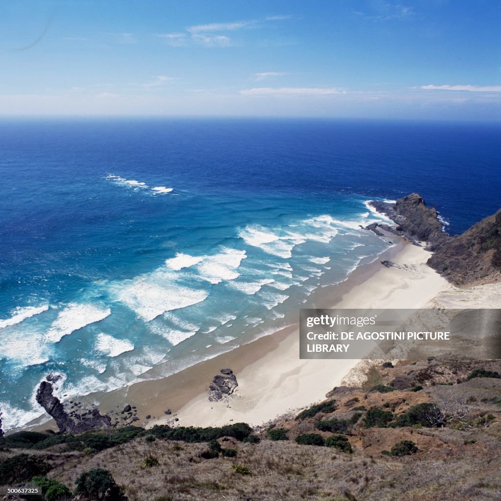 Cape Reinga (Te Rerenga Wairua)...