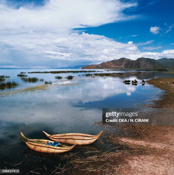 Titicaca Reed Raft Lake Titicaca Boat Photos and Premium High Res Pictures - Getty Images