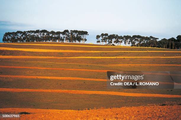 The scenery along the Garden route, Little Karoo region, South Africa.