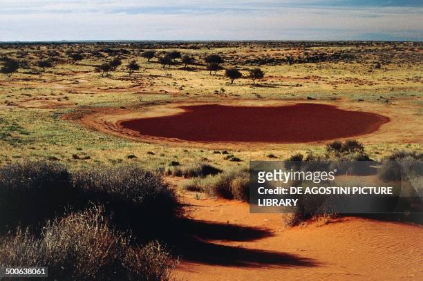 Marsh, Simpson Desert, Queensland, Australia.