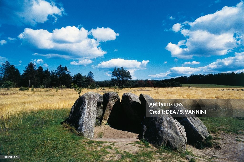 Viking cemetery in Jaettertrup...