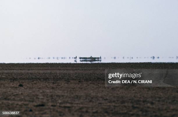 Effect of mirage, Tegguiada In Tessoum, Niger.