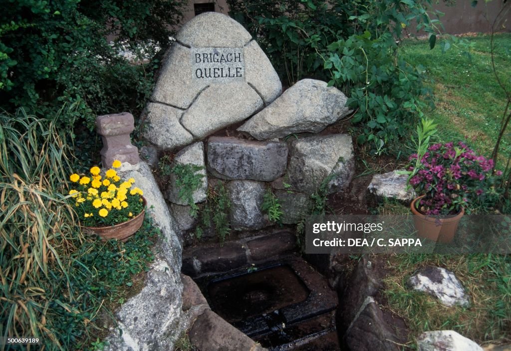 The source of Brigach river