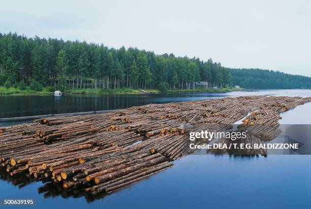 Timber Float Photos and Premium High Res Pictures - Getty Images